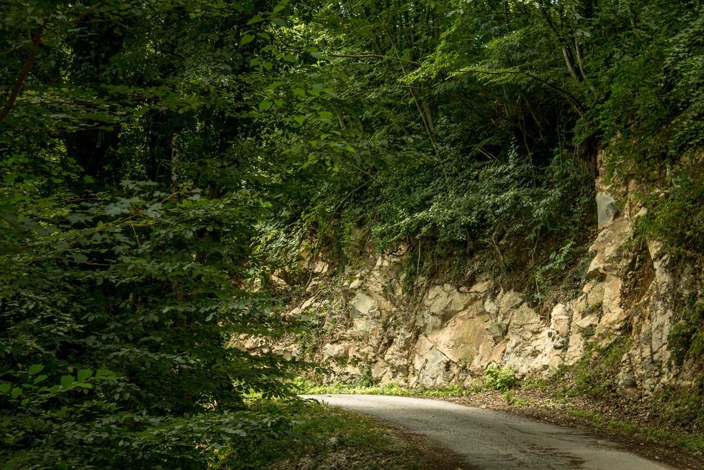 Turisticna Kmetija Stanfel Villa Podsabotin Kültér fotó