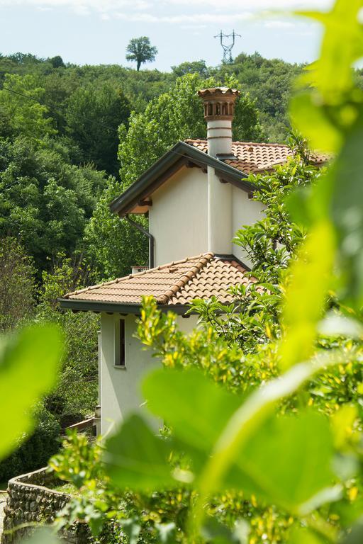 Turisticna Kmetija Stanfel Villa Podsabotin Kültér fotó